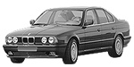 BMW E34 P0C39 Fault Code